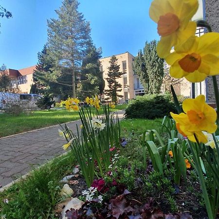 Osrodek Wczasowy Wrzos Łukęcin Exterior foto