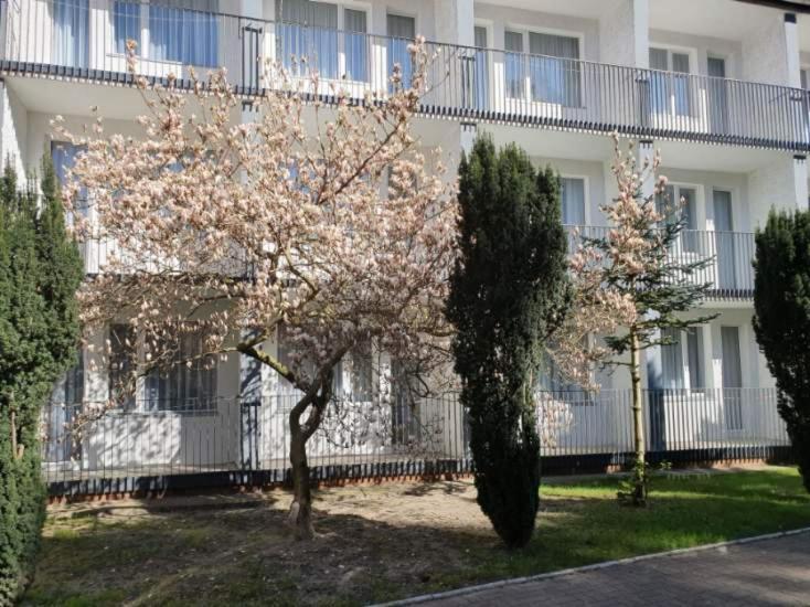 Osrodek Wczasowy Wrzos Łukęcin Exterior foto